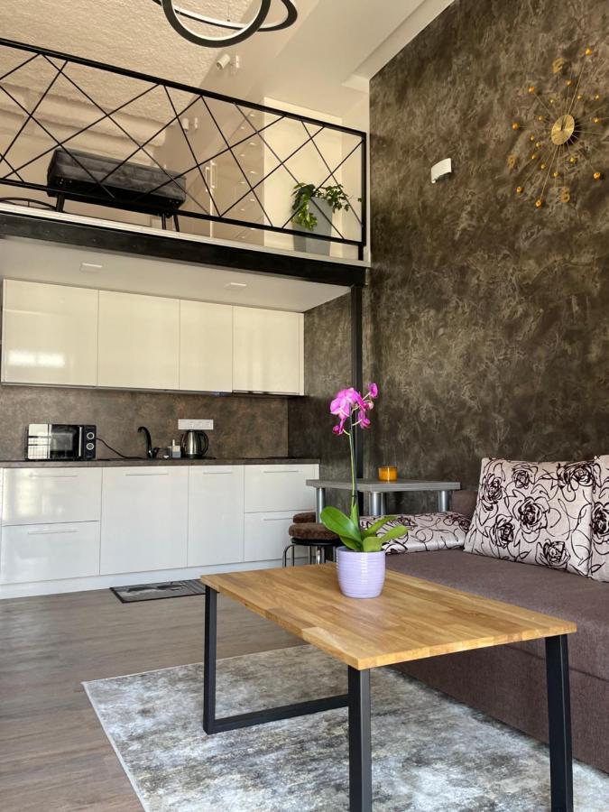 Radio City Loft Kaunas Bagian luar foto